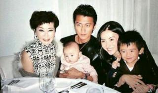 谢振南是谢霆锋儿子吗 谢振轩和谢振南