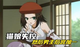 猫耳属性（守护猫娘绯鞠）里的后宫团都有谁 守护猫娘绯鞠图片