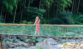 石斑鱼是靠肺呼吸吗 石斑鱼用什么呼吸