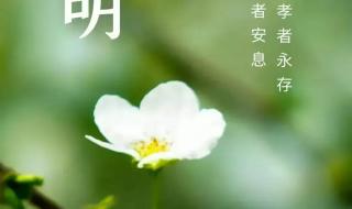 2023年清明放假调休