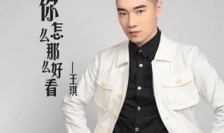 王琪经典歌曲精选十首联唱 王琪最火的三首歌曲