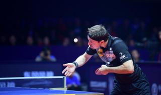 樊振东赢得过多少次世界冠军 樊振东全运会冠军总数